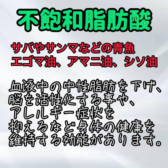 画像260