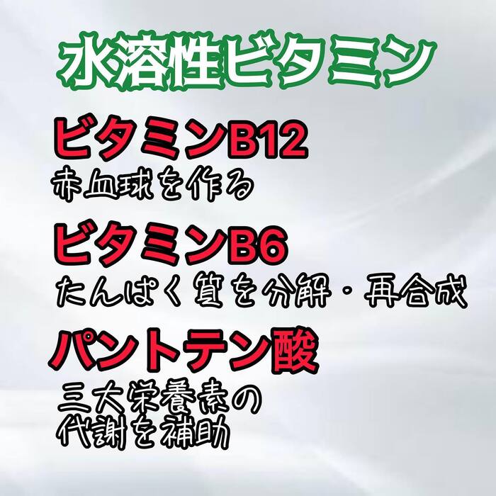 画像306