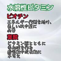 画像307