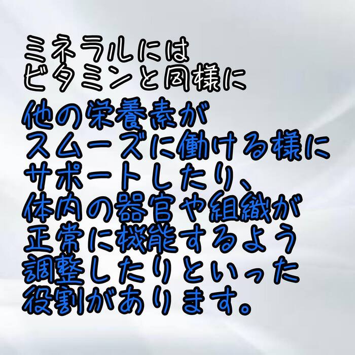 画像311
