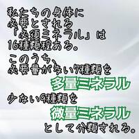 画像318