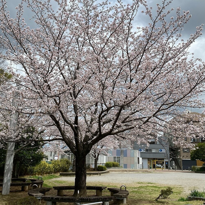 画像530