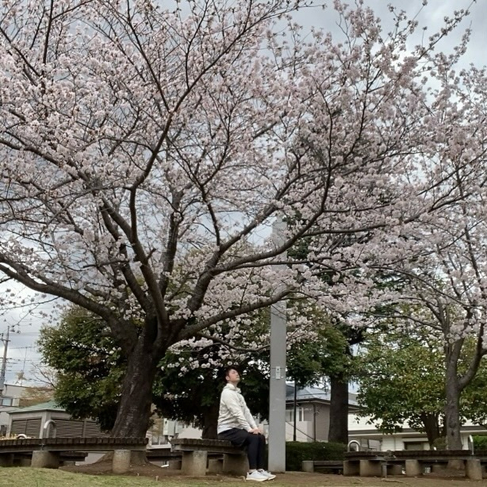 画像533